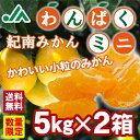 【送料無料】紀南みかん「わんぱくミニ」 5kg×2箱(合計10kg) ★一口でぱくっと食べれるほどのかわいいみかん 小玉 光センサー 早生みかん