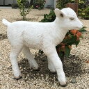 実物大 動物 オブジェ ヤギの赤ん坊 インテリア イベント ディスプレイ