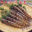 車海老 活〆 天草産 熊本 天然 国産 約20g ke91102
