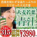 【送料無料】大麦若葉 青汁 (3g×63袋入) 5箱分 315P 緑黄色野菜を簡単摂取 代引き不可