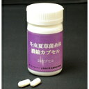 冬虫夏草菌糸体 濃縮カプセル 25カプセル