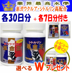 送料無料 シトルリン革命王+赤ガウクルア革命王 各30日分(各1本セット)+各7日分(ジッパー付アルミ袋入)プレゼント! 【更に!レビューを書くと!Wプレゼントに!】アルギニン ソフォン マカ 亜鉛 サプリメント 期間限定!豪華!プレゼント付き!