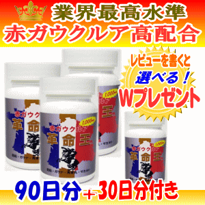 【期間限定!豪華!プレゼント付き!】赤ガウクルア革命王 90日分(3本セット)+30日分(1本)プレゼント!(計120日分) アカガウクルア 1,000mg (1日量あたり)の高配合 L-シトルリン L-アルギニン ソフォン マカ 亜鉛 サプリメント 送料無料