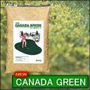 送料無料/ニューカナダグリーン/芝生の種寒暖に強いカナダグリーンで憧れの芝生（シバフ）があなたの庭へ