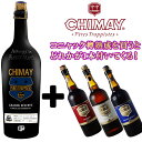 VC RjbNMn VCr1{v[gLy[ 10Zbg@xM[r[ gsXgr[ CHIMAY BEER