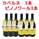 クレインレイク カベルネ&ピノノワール(各3本) 6本セット California