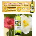 熊本ワイン デラウェア辛口 肥後六花 720ml 【白ワイン 辛口】