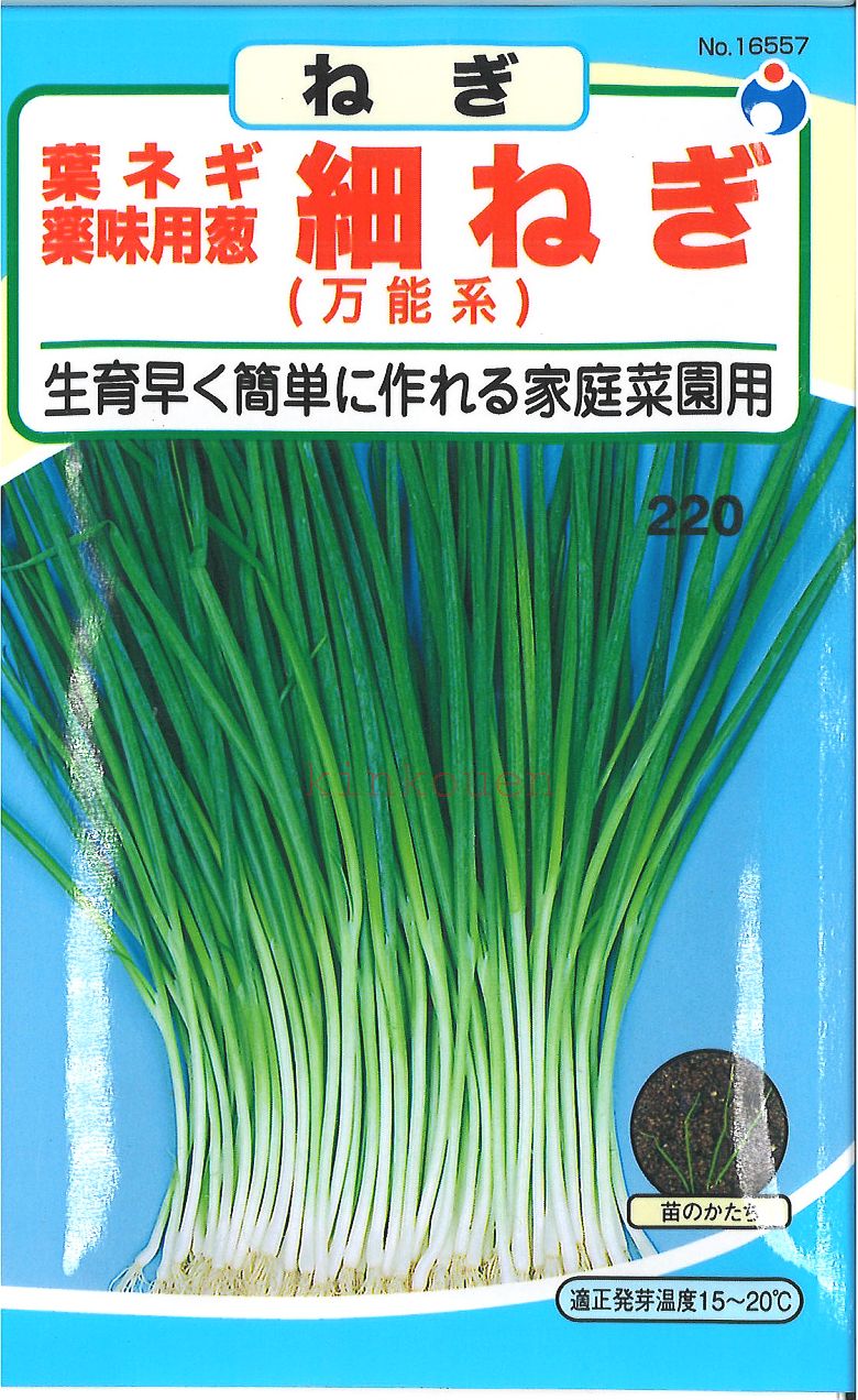 □ 【代引き不可】【メール便】【秋冬】★ウタネ ネギ細ねぎ葉ねぎ薬味用葱