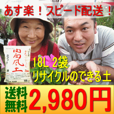 □ 【送料無料】関西風土18L　2袋セット【あす楽対応_関東】【あす楽対応_甲信越】【あす楽対応_北陸】【あす楽対応_東海】【あす楽対応_近畿】【あす楽対応_中国】【あす楽対応_四国】【smtb-k】【kb】【ランキング1位受賞の培養土】