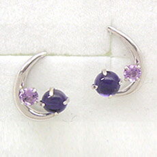 饤ȡߥ᥸ȥԥ֥롼٥꡼Υڸ١38OFF