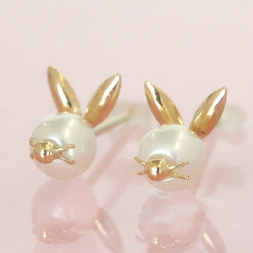 ѡߥɥԥƥåץå׽Υڸ١51OFF