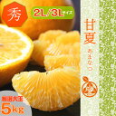 ◆木熟 甘夏【ご家庭・ご贈答用】...