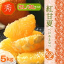 ◆木熟 紅甘夏【ご家庭・ご贈答用...
