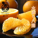 ◆完熟 木成り はっさく【送料無料】◆ 秀品【2L/3Lサイズ(大玉) 5kg】樹上熟成 はっ