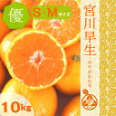 ◆◆家庭用みかん◆◆ 宮川早生みかん 優品S/Mサイズ10kg和歌山 みかん 実店舗年間発送数3000件以上!!紀南 田辺 南紀 地方の糖度が高いみかんをお届けいたします【送料無料】
