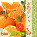 ◆高糖度木熟ポンカン【ご家庭・ご贈答用】◆ 葉付き ポンカン 秀品L/2Lサイズ5kg和歌山みかん 実店舗年間発送数3000件以上!!紀州 紀南 田辺 地方の糖度が高いみかんをお届けいたします【送料無料】