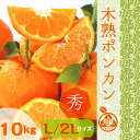 ◆高糖度木熟ポンカン【ご家庭・ご贈答用】◆ 葉付き ポンカン 秀品L/2Lサイズ10kg和歌山みかん 実店舗年間発送数3000件以上!!紀州 紀南 田辺 地方の糖度が高いみかんをお届けいたします【送料無料】