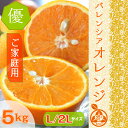 ¢¡µª½£»º¡¡¥Ð¥ì¥ó¥·¥¢¥ª¥ì¥ó¥¸¡Ú¤´²ÈÄíÍѡۢ¡ ¡ÚÍ¥ÉÊ¡ÛL/2L¥µ¥¤¥º¡¡5kg¡¡¾¯¤·Ìõ¤¢¤ê¥ª¥ì¥ó¥¸¡¡¥Î¡¼¥ï¥Ã¥¯¥¹¡¡¹ñ»º¡¡ËÉÉåºÞËÉ¥«¥ÓºÞÉÔ»ÈÍѼÂŹÊÞǯ´ÖȯÁ÷¿ô3000·ï°Ê¾å¡ª¡ªµª½£ µªÆî ÅÄÊÕ ÃÏÊý¤ÎÅüÅÙ¤¬¹â¤¤¤ß¤«¤ó¤ò¤ªÆÏ¤±¤¤¤¿¤·¤Þ¤¹¡ÚÁ÷ÎÁ̵ÎÁ¡Û