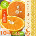 ¢¡µª½£»º¡¡¥Ð¥ì¥ó¥·¥¢¥ª¥ì¥ó¥¸¡Ú¤´²ÈÄíÍѡۢ¡ ¡ÚÍ¥ÉÊ¡ÛL/2L¥µ¥¤¥º¡¡10kg¡¡¾¯¤·Ìõ¤¢¤ê¥ª¥ì¥ó¥¸¡¡¥Î¡¼¥ï¥Ã¥¯¥¹¡¡¹ñ»º¡¡ËÉÉåºÞËÉ¥«¥ÓºÞÉÔ»ÈÍѼÂŹÊÞǯ´ÖȯÁ÷¿ô3000·ï°Ê¾å¡ª¡ªµª½£ µªÆî ÅÄÊÕ ÃÏÊý¤ÎÅüÅÙ¤¬¹â¤¤¤ß¤«¤ó¤ò¤ªÆÏ¤±¤¤¤¿¤·¤Þ¤¹¡ÚÁ÷ÎÁ̵ÎÁ¡Û