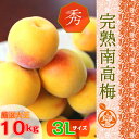 ◆完熟 南高梅【ご家庭・ご贈答用】◆ 紀州南高梅【秀品】3L サイズ 10kg梅干/梅ジャム 用 生梅 朝市で厳選した本場紀州のブランド梅を、その日に丁寧に手詰めし発送致します!!【クール冷蔵便】紀州産 梅干し【送料無料】