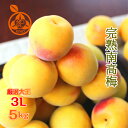 【完熟】南高梅 本場 紀州産【送料無料】【秀品 3L サイズ 5kg】南高梅 予約 南高梅