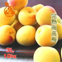 【完熟】南高梅 本場 紀州産【優品(少しキズあり)】【3L サイズ 10kg】【送料無料】南
