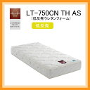 France Bed(フランスベッド) ニューライフトリートメントマットレス LT-750CN TH AS オールシーズン仕様。 低反発ウレタンフォーム ダブル(D)サイズ