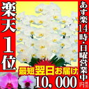 yV1ʁy14Ӓ 3{/傤/Ӓ/Ӓ Ӓ3{/傤/Ӓ/Ӓj/JXj//ސEj/a/Ӓ/R`E/j//10,000~(ŕ)