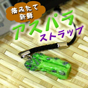 Ȥ줿ƿʪä!!ߥ˥奢ڥȥå/ѥ10P20Feb09