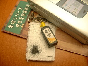 ع꡼ȥåסϽ/ҡˡ10P20Feb09