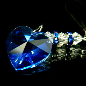 եꥹ륹ȥå ϡ/֥롼10P20Feb09