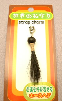 Τꥹȥåץ㡼 ۡإ֥å10P20Feb09