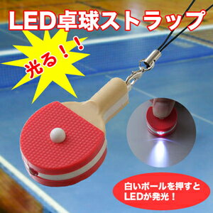 LED饤դߥ˥奢饱åȷӥȥåס10P20Feb09