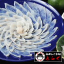 ふぐ グルメ大賞連続受賞の店 ふぐ刺し「ふぐ刺身2人前/冷蔵...