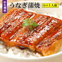 「浜松市クーポンで30%OFF」浜松・浜名湖 うなぎをお家で...