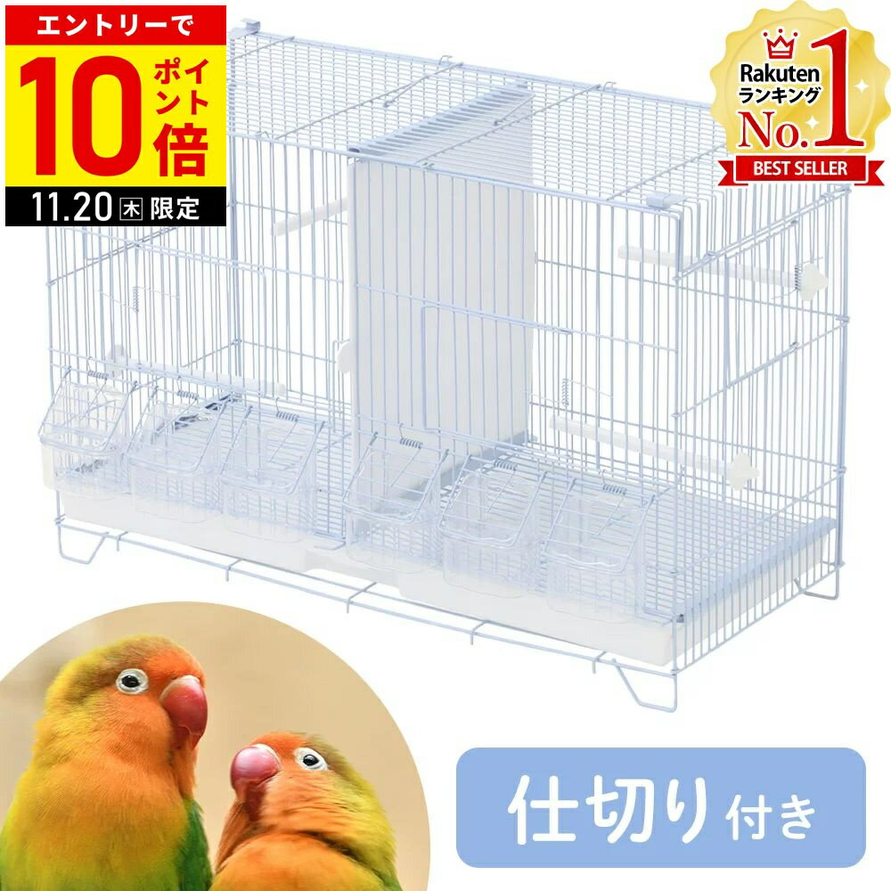 【LINE登録ですぐ使えるクーポン配布中】 鳥かご 仕切り 大型 止まり木 餌入れ バードケージ 鳥小屋 バードゲージ 飼育ケージ 鳥 バード ケージ 文鳥 セキセイインコ インコ オウム ヨウム カナリア オカメインコ
