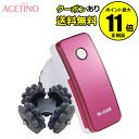 【全品共通20%クーポンあり】NEW アセチノクワトロインパ...