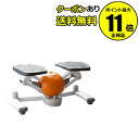 【全品共通20%クーポンあり】エアロライフ コアビクサー