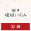 【往復送料無料】解き・端縫いのみ【羽織】