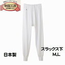 グンゼ 婦人 肌着 M・L スラックス下 ももひき 快適工房...
