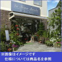 YKK ap 持ち出し屋根 ヴェクター 1間×3尺 アール型 熱線遮断ポリカ屋根 メーターモジュール(張り出しあり) 1500N/m2 1・2・3階設置用