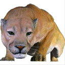 FRP クーガー / Cougar 『動物園オブジェ アニマルオブジェ 店舗・イベント向け』