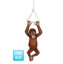 FRP　ぶらさがるオランウータンの赤ちゃん / Hanging BaBy Orangutan　 fr120041 『動物園オブジェ　アニマルオブジェ　店舗・イベント向け』