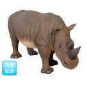 FRP　小型のサイ / Rhinoceros Small　『動物園オブジェ　アニマルオブジェ　店舗・イベント向け』
