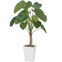 『人工植栽』 タカショー グリーンデコ鉢付 クワズイモ 1.2m GD-162M