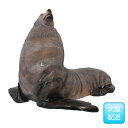 FRP　雄のオットセイ / Male Fur Seal　 fr100093 『水族館オブジェ　アニマルオブジェ　店舗・イベント向け』