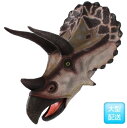 FRP トリケラトプスの頭 / Triceratops - Head Only 『恐竜オブジェ 博物館オブジェ 店舗・イベント向け』