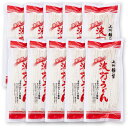 桐生の波打うどん ねじれうどん 半生麺 300g×10 送料無料 なみうちうどん でこぼこ麺 ※沖縄・離島は別途送料が掛かります