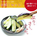大阪・泉州特産水なす漬物お試しセット 水ナス お漬物 水茄子