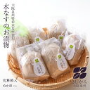 大阪の味をお歳暮で!泉州産水なす漬物【糠漬6個】ギフトに最適な化粧箱入り♪水ナスぬか漬け【水茄子】【漬物】【贈答品】